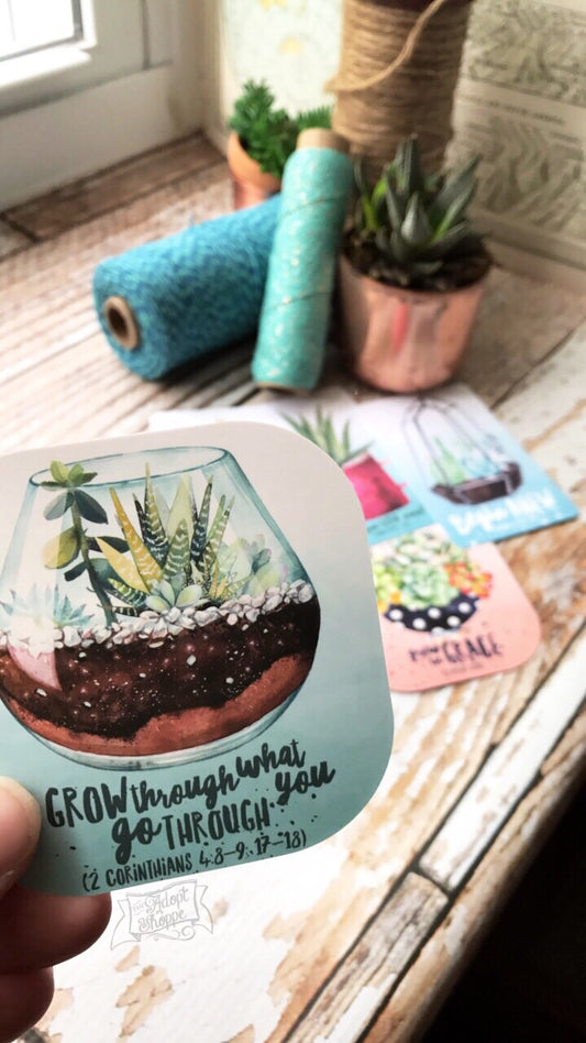 grow through what you go through succulent #TheAdoptShoppecard