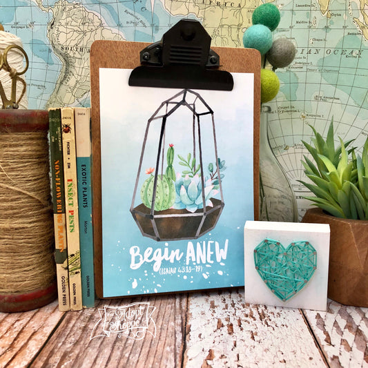 begin anew 5"x7" succulent print