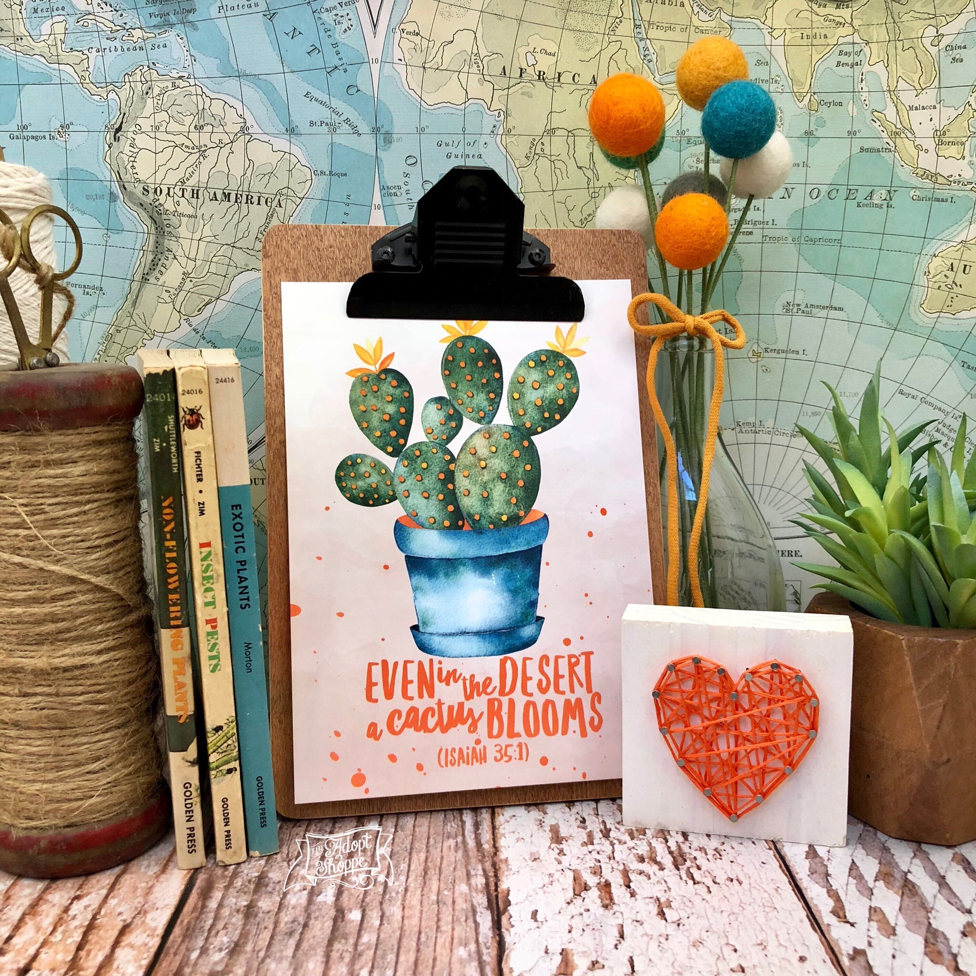 succulent prints even in the desert a cactus blooms 5"x7" succulent print – TheAdoptShoppe