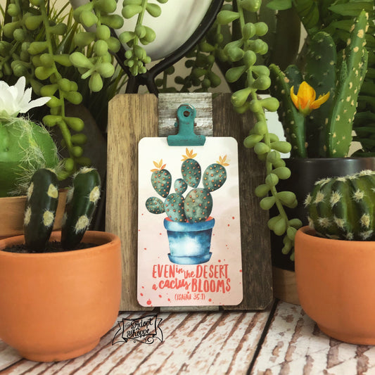 even in the desert a cactus blooms succulent #TheAdoptShoppecard