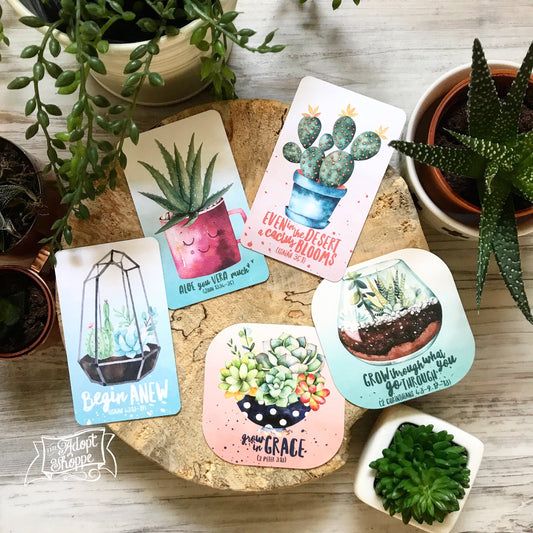 aloe you vera much succulent #TheAdoptShoppecard