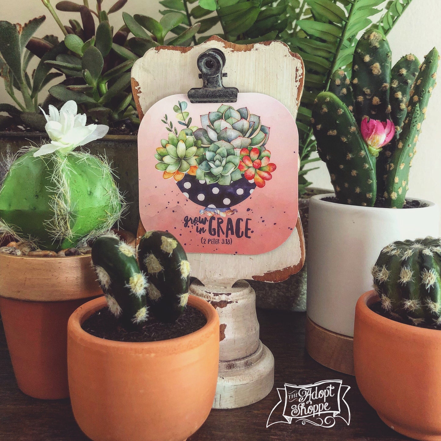 the succulents shoppe photos grow in grace succulent #TheAdoptShoppecard