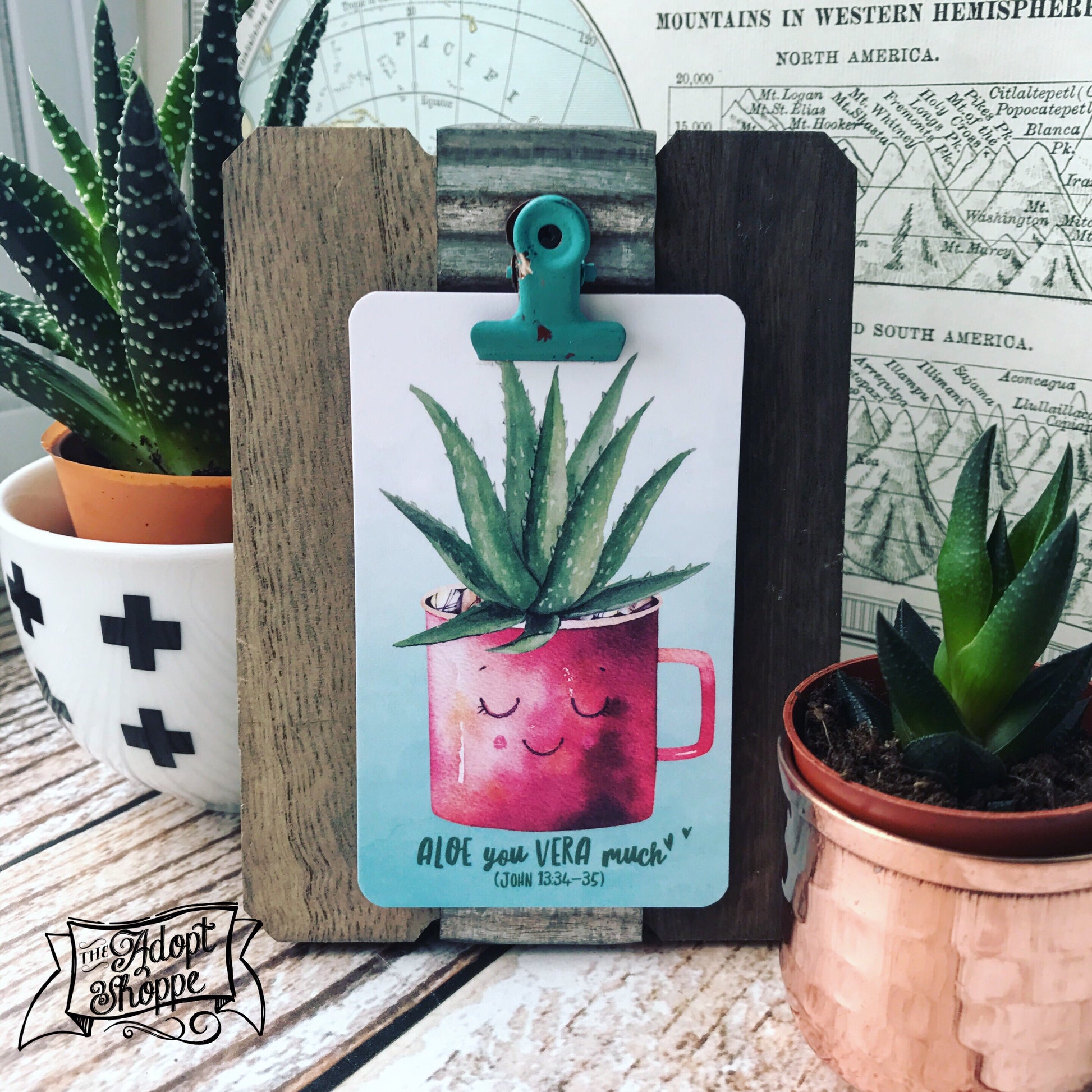 aloe you vera much plant aloe you vera much succulent #TheAdoptShoppecard